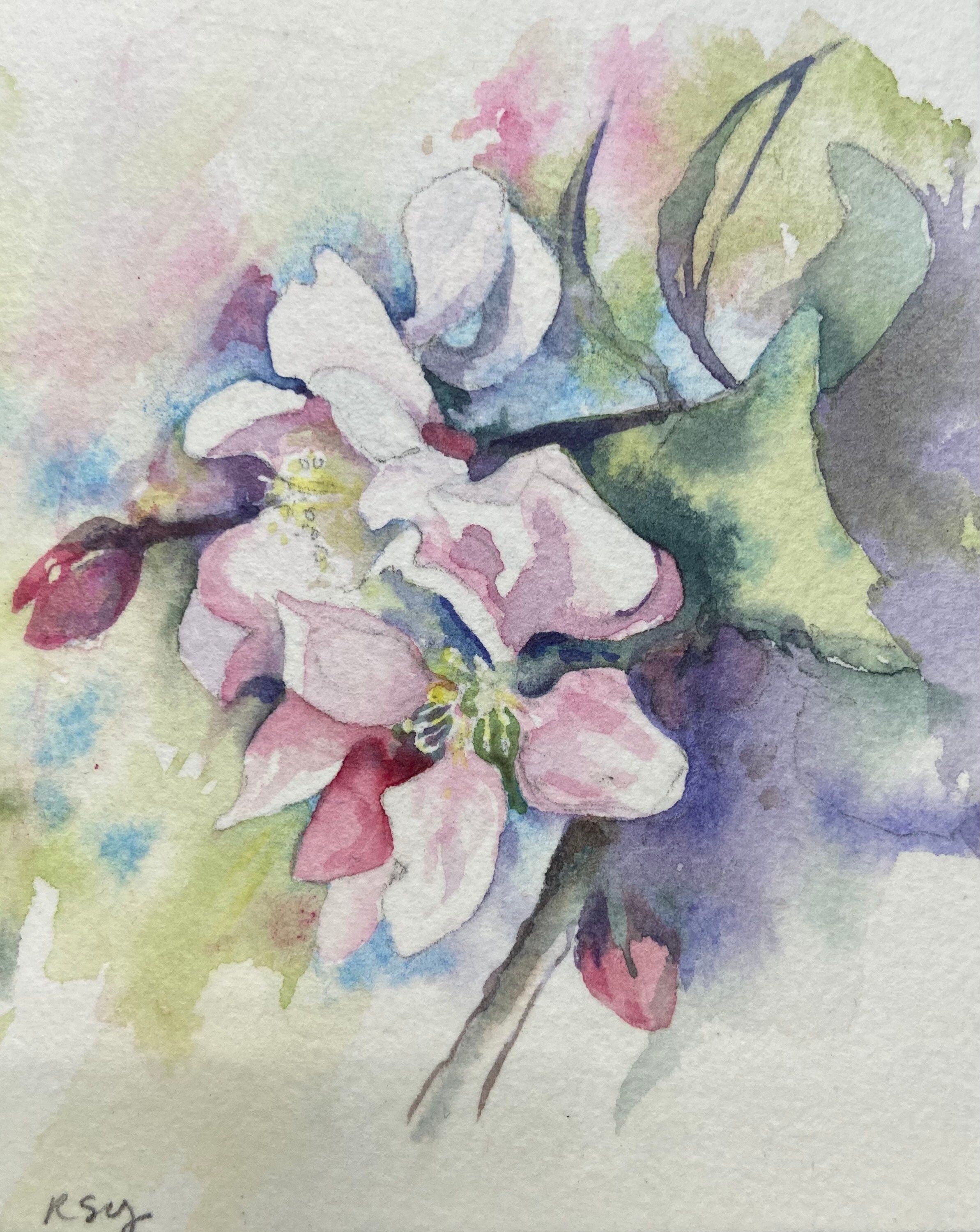 Pink Apple Blossom Sweet Gift for Her Original Watercolor - Etsy