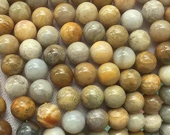 AA Genuine Natural Fossil Coral Jasper Gemstone Smooth Round Beads 1 Full Strand 15"