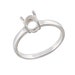 see more listings in the Silver Ring @ $19.99 USD section
