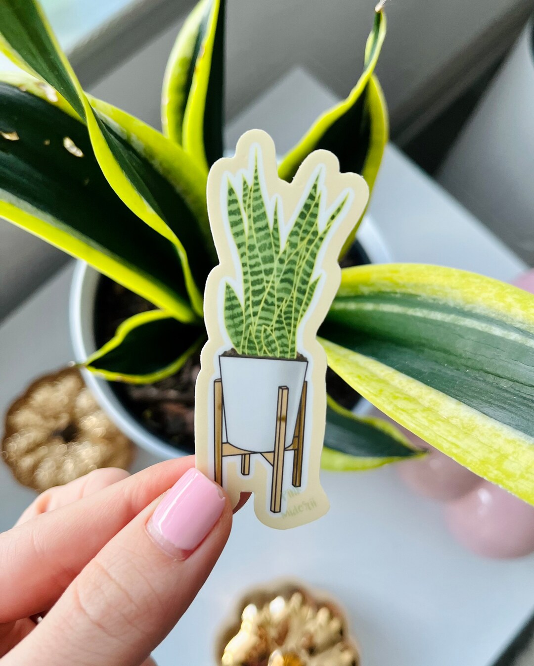 Snake Plant Vinyl Sticker Waterproof Sticker Notebook Sticker Car Sticker Water Bottle Sticker