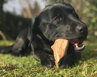 Masticable de asta de palma para perros (Asta de palma) - Saludable/natural/sin cereales/premio/snack para perros