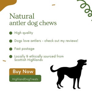 Puede incluir: Una silueta negra de un perro de pie sobre un fondo blanco. El texto "Natural antler dog chews" est&aacute; en la parte superior de la imagen. Debajo del texto hay cuatro vi&ntilde;etas con el siguiente texto: "High quality", "Dogs love antlers - check out my reviews!", "Fast postage", y "Locally & ethically sourced from Scottish Highlands". En la parte inferior de la imagen hay un bot&oacute;n marr&oacute;n con el texto "Buy Now" y el texto "HighlandDogTreats" en blanco.