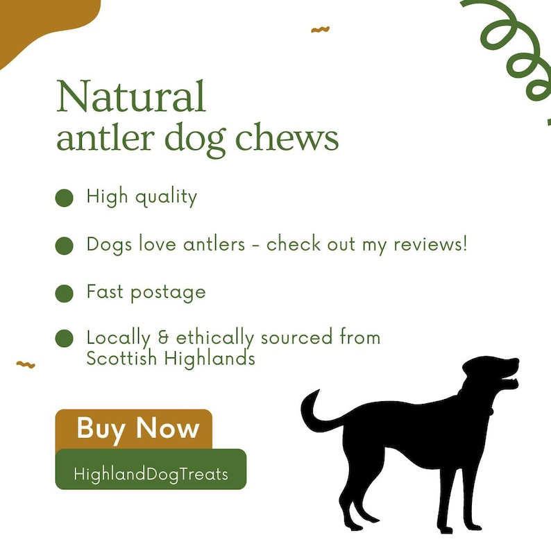 Puede incluir: Una silueta negra de un perro de pie sobre un fondo blanco. El texto "Natural antler dog chews" est&aacute; en la parte superior de la imagen. Debajo del texto hay cuatro vi&ntilde;etas con el siguiente texto: "High quality", "Dogs love antlers - check out my reviews!", "Fast postage", y "Locally & ethically sourced from Scottish Highlands". En la parte inferior de la imagen hay un bot&oacute;n marr&oacute;n con el texto "Buy Now" y el texto "HighlandDogTreats" en blanco.