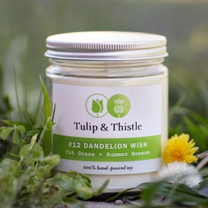 Dandelion Wish  | Soy candle | Grass | cut grass | summer | spring | fresh | green | gift for her |