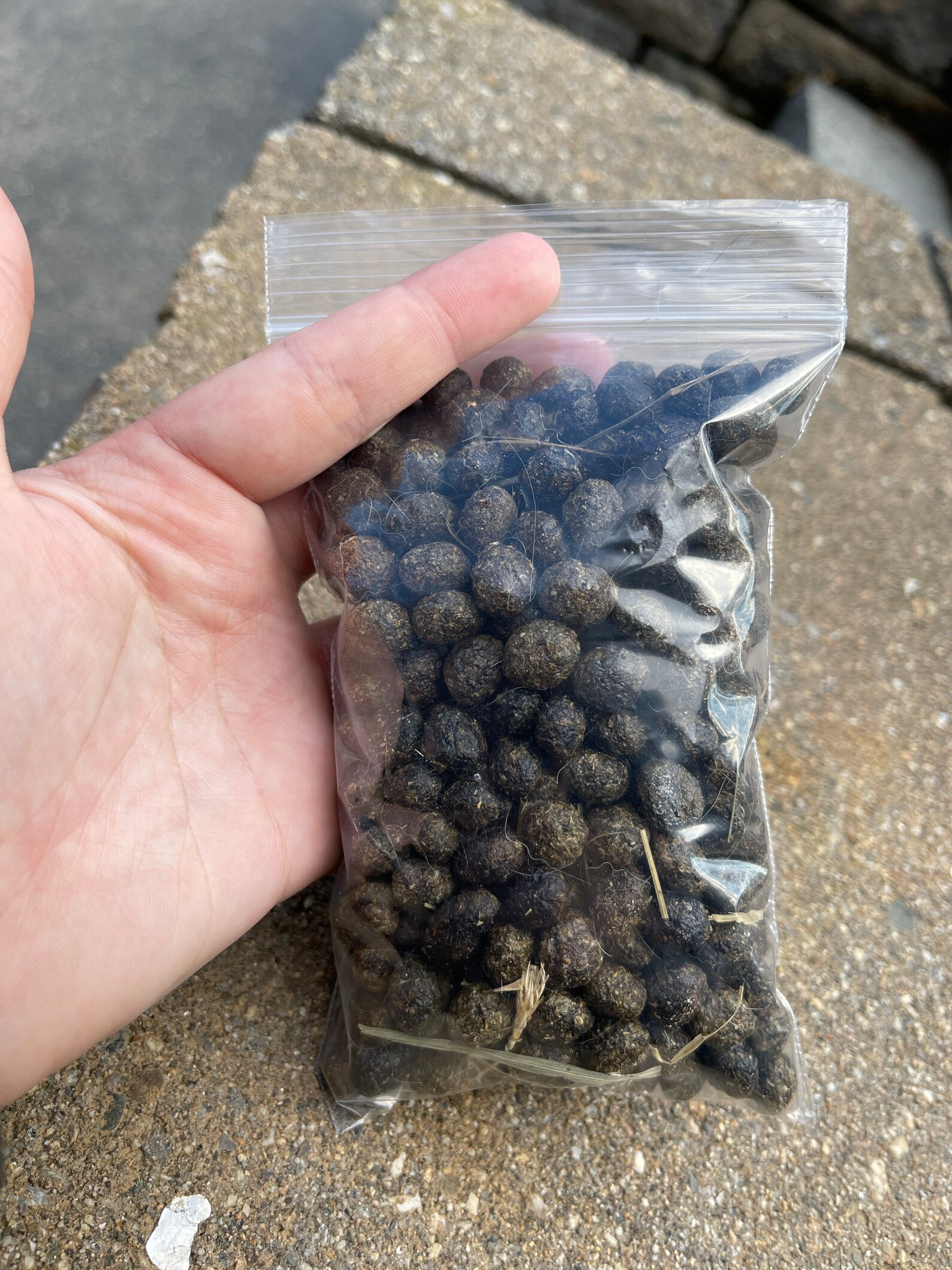 Rabbit Poop Fertilizer Gardening Natural Manure Rabbit Etsy