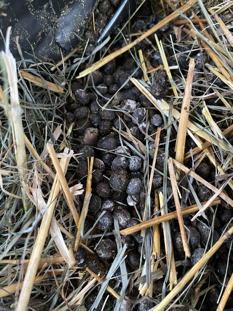 Caca de lapin Engrais Jardinage Fumier naturel Fumier de Etsy