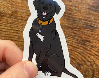 Anpassat hundklistermärke från bild, personlig hundkonst