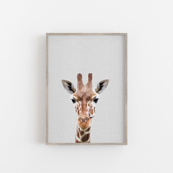 Giraffe Peek A Boo Nursery Wall Art Safari Animals Safari Nursery Decor