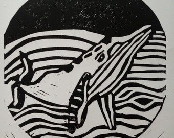 Humpback Whale