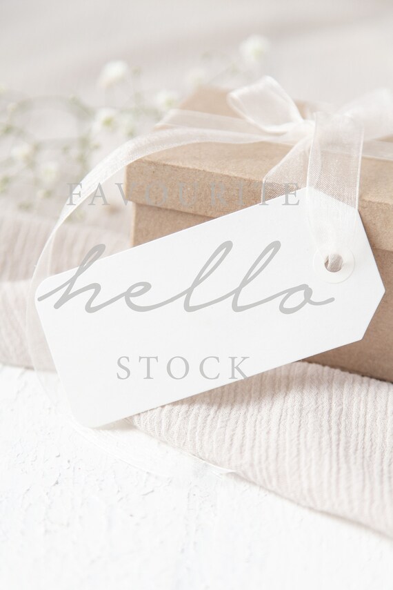 2 X4 25 Jpeg Gift Tag Mockup Favor Tag Mockup Wedding Etsy