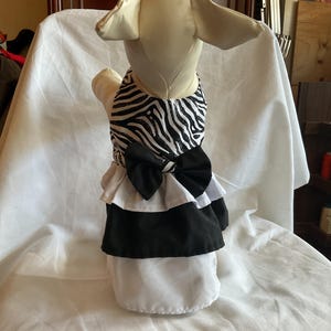 3 tier style zebra print dog dress.