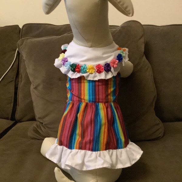Varieties of Mexican style dog dress for cinco de mayo