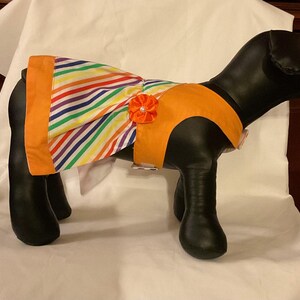 Rainbow stripe cross cross dog dress