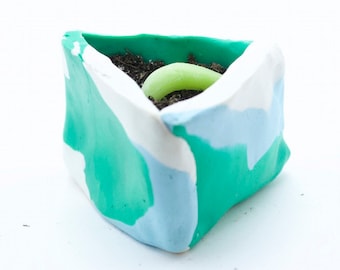 Tiny Clay Pot With Tiny Succulent