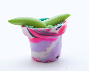 Tiny Clay Pot With Tiny Succulent