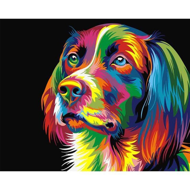 Diy Paint By Number Kits Rainbow Colored Dog 40cm X 50cm With Canvas For S