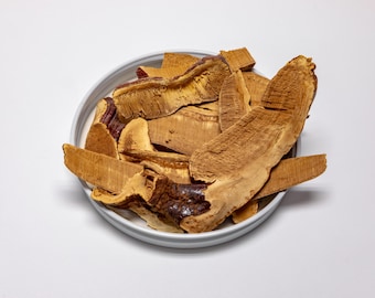 Reishi Organic