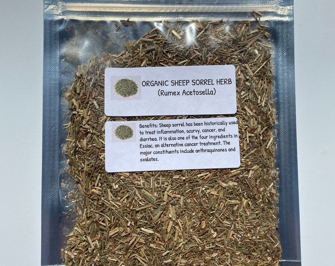 Organic Sheep Sorrel (Rumex acetosella)