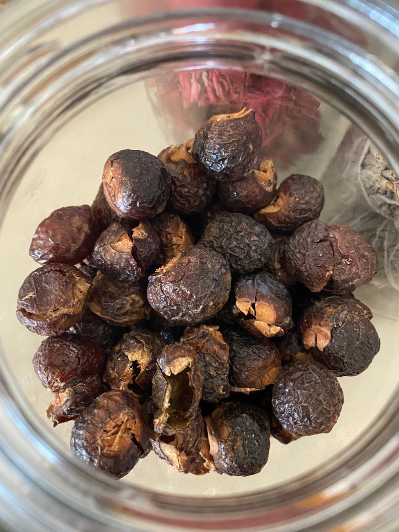 Organic Soap Berries Etsy