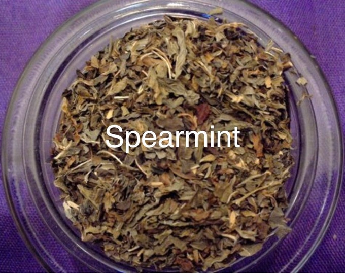 Spearmint (Mentha spicata)