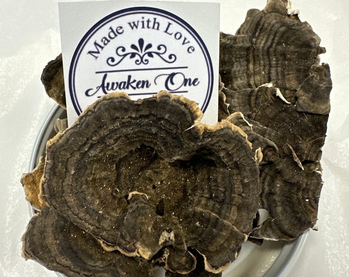 Turkey Tail Organic