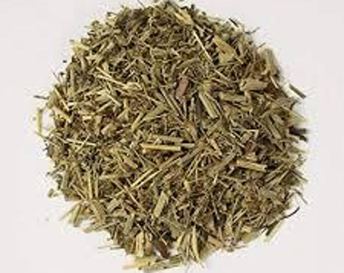 Organic Sheep Sorrel (Rumex acetosella)