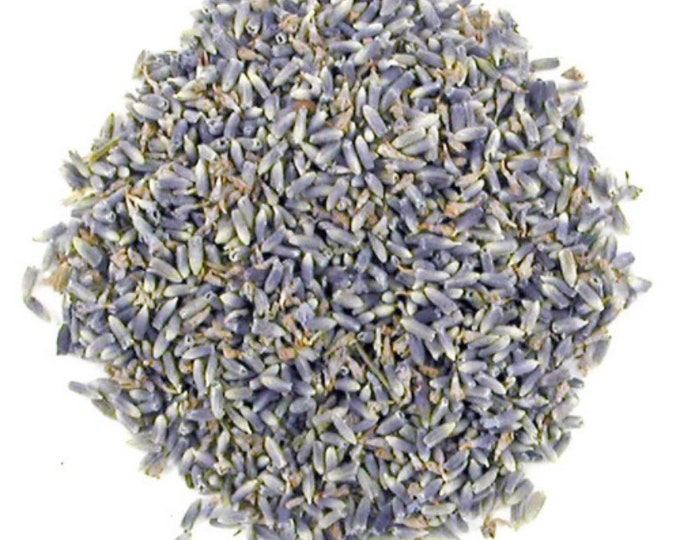 Organic Lavender (Lavendula Angustifolia)