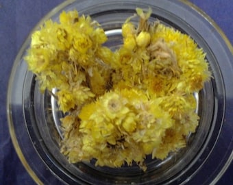 Organic Life Everlasting Flower (Helichrysum stoechas)