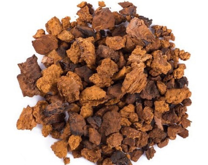 Chaga Mushroom