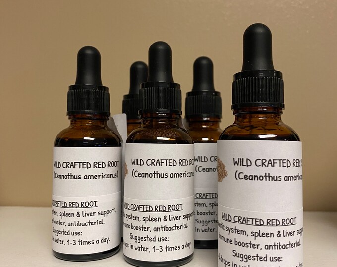 Wild Crafted Red Root Tincture
