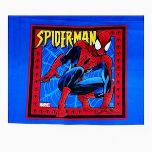 Spiderman Fabric Panel 21x17 | Vintage 2004 Marvel Cotton