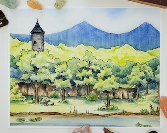 Disegnare nella Foresta Linfabrace