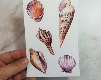 Acquerello Seashell Sticker Sheet, 4"x 6", set di 5 adesivi