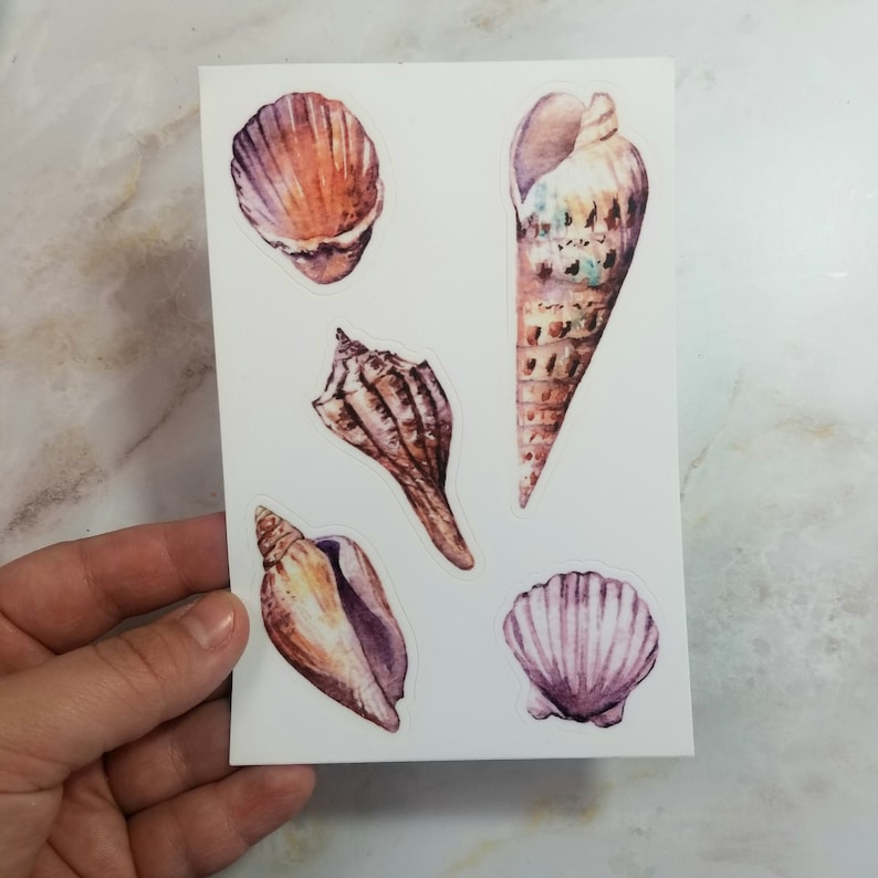 set of 5 stickers 4x 6 Watercolor Seashell Sticker Sheet