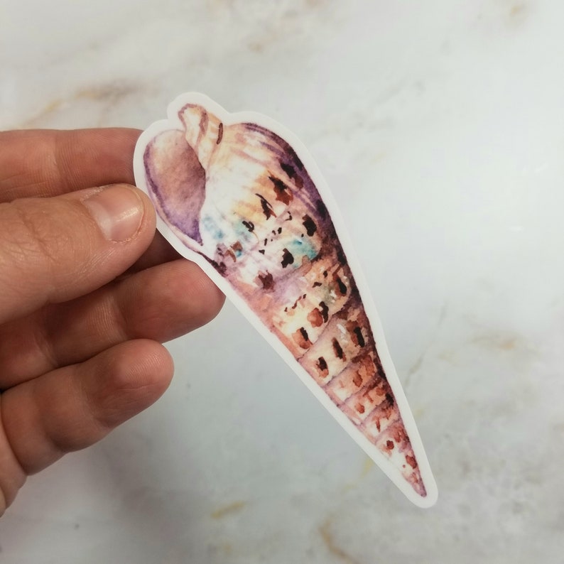 set of 5 stickers 4x 6 Watercolor Seashell Sticker Sheet