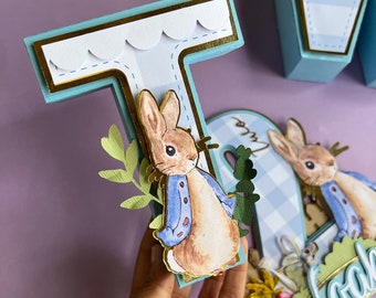 Peter Rabbit 3D Letters / Peter Rabbit Birthday Decorations/ Peter Rabbit Birthday Party