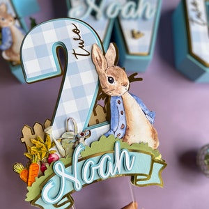 Peter Rabbit 3D Letters / Peter Rabbit Birthday Decorations/ Peter ...