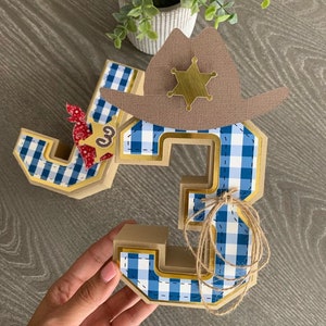 Cowboy 3D Letters / Cowboy Birthday Decorations / Cowboy Party Decor / Cowboy Birthday