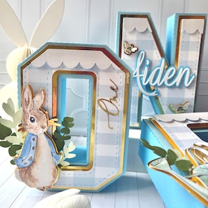 Peter Rabbit 3D Letters / Peter Rabbit Birthday Decorations/ Peter Rabbit Birthday Party