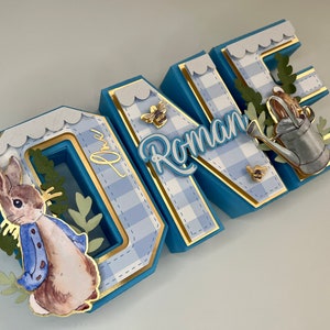 Peter Rabbit 3D Letters / Peter Rabbit Birthday Decorations/ Peter ...
