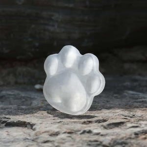 Op de afbeelding: Een doorschijnende, pootvormige sculptuur, waarschijnlijk van glas of hars, rust op een getextureerd, grijs stenen oppervlak. De pootafdruk is gedetailleerd, met zichtbare kussentjes en tenen. De achtergrond is een donkere, vage rotsformatie.