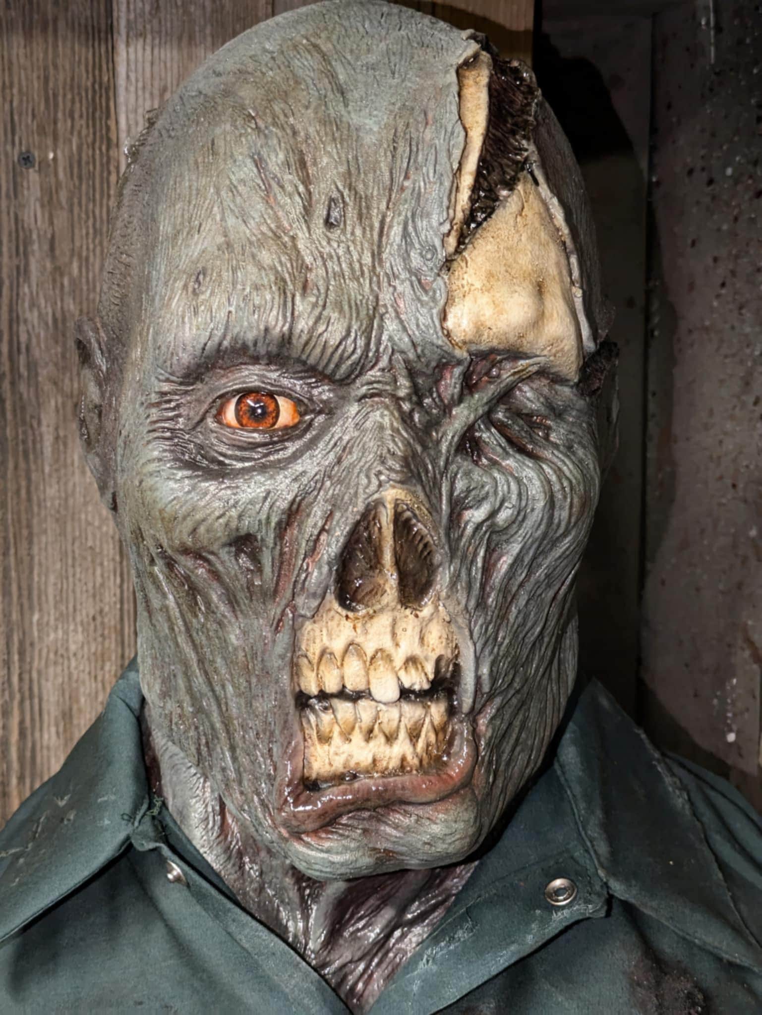 F13 Pt 6 Zombie Collector Latex Display Bust 1:1 Scale - Etsy Canada