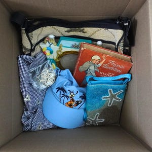 Op de afbeelding: Een kartonnen doos gevuld met diverse items. Inbegrepen zijn een beige handtas, een blauwe pet met een cartoonfiguur, een vintage boek getiteld "Trixie Belden and the Mystery", een blauwe kralentas met zeesterren en een blauw-wit geruit overhemd.