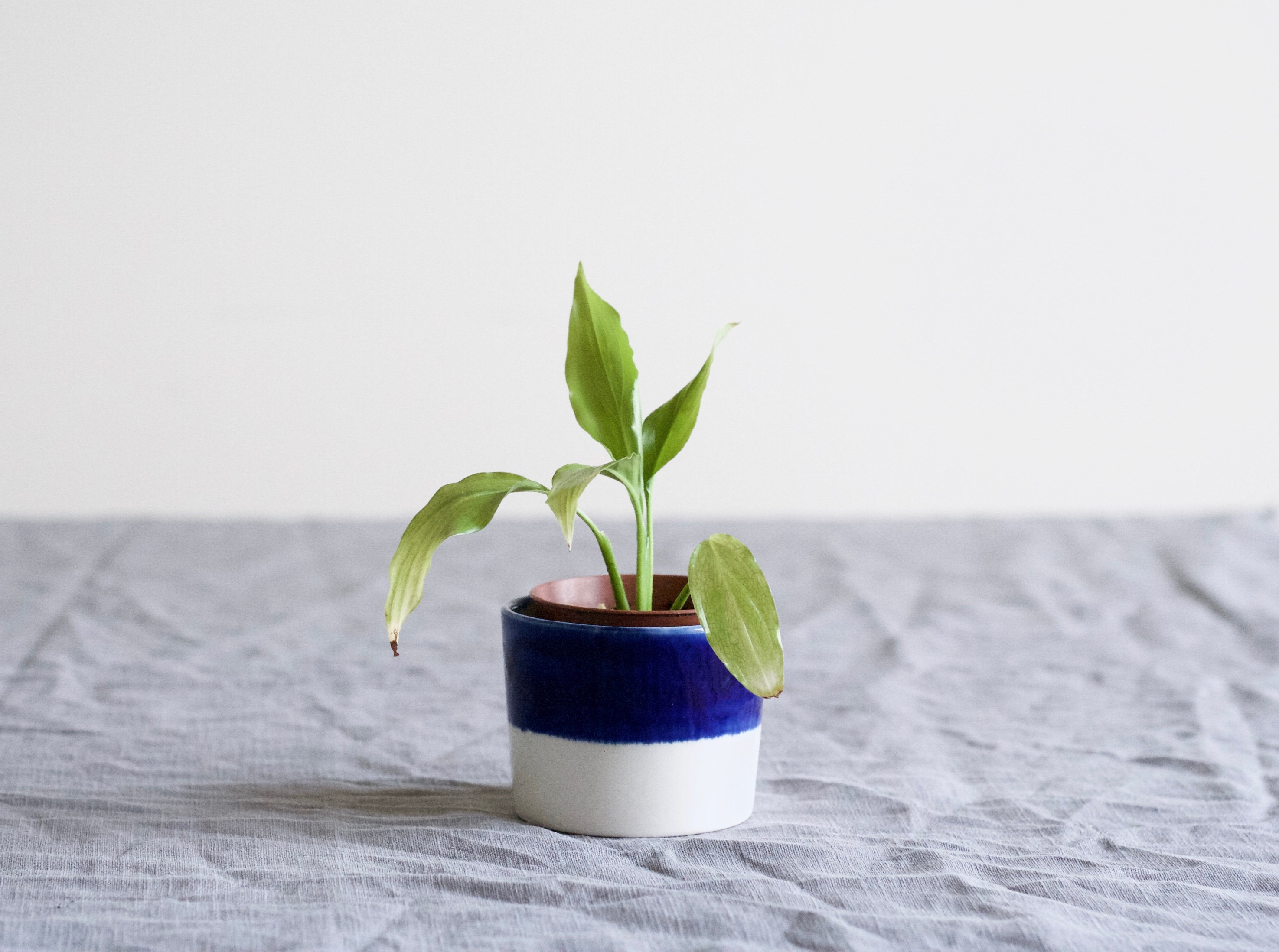 Pot de Cactus à Moitié Plein | Bleu Cobalt Jardinière Moderne en Céramique Pot Plantes Porcelaine