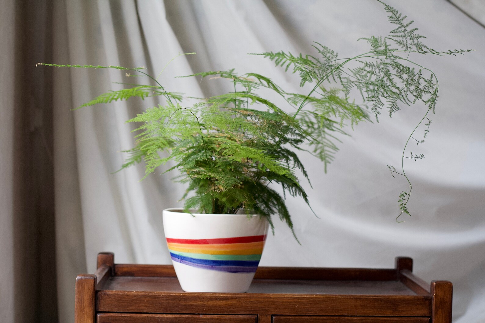 Rainbow Pride Plant Pot Porcelain Planter Hand Painted Etsy