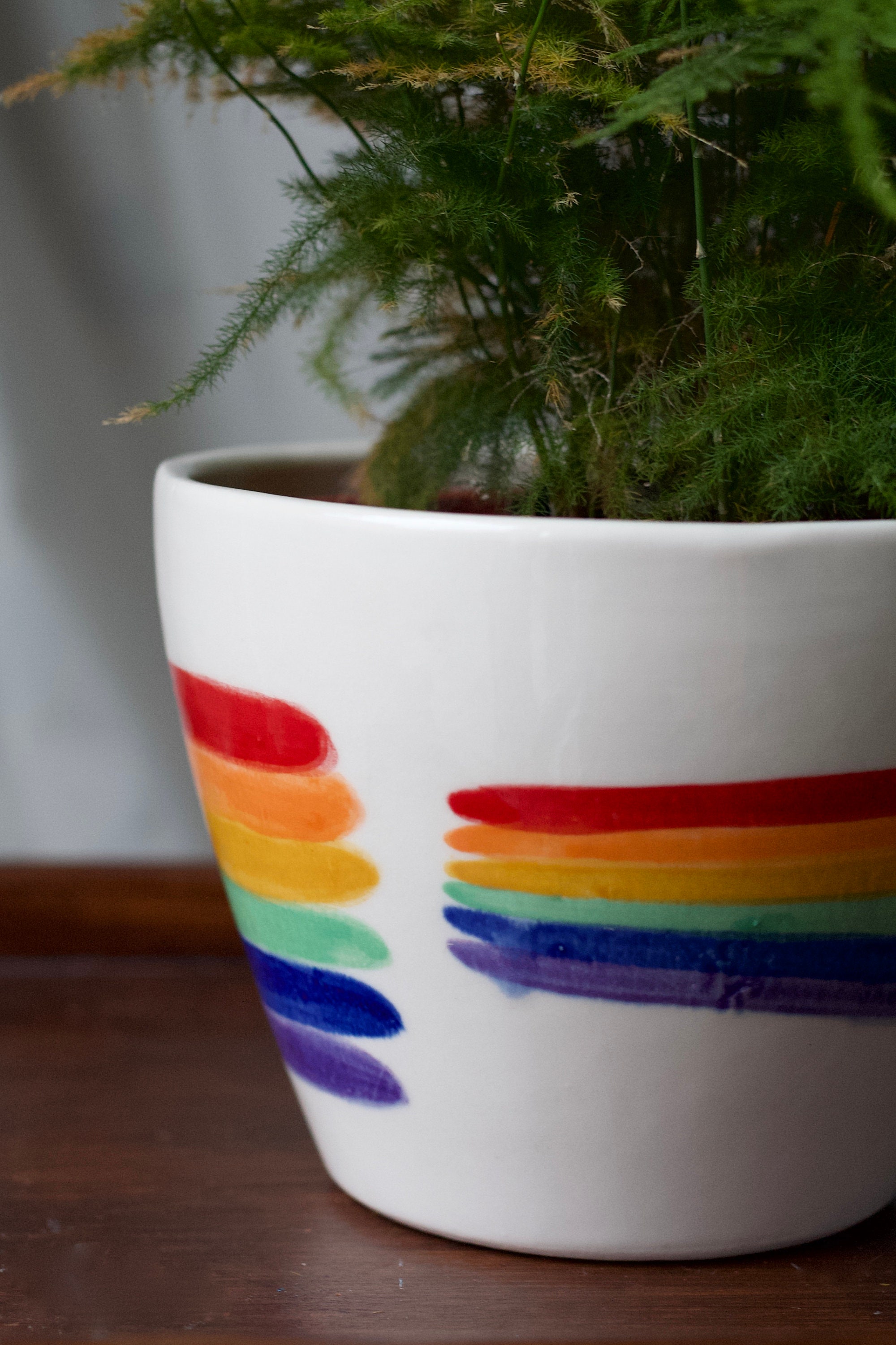 Rainbow Pride Plant Pot Porcelain Planter Hand Painted Etsy