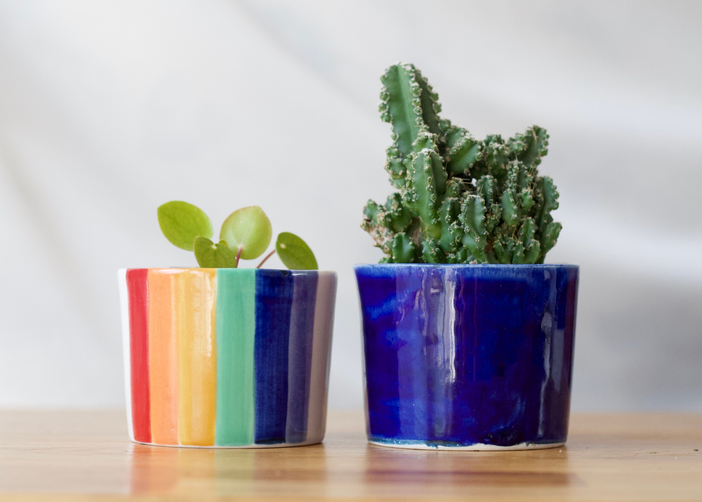 Rainbow Cactus Pot Pride Flag Ceramic Planter Hand Painted Etsy