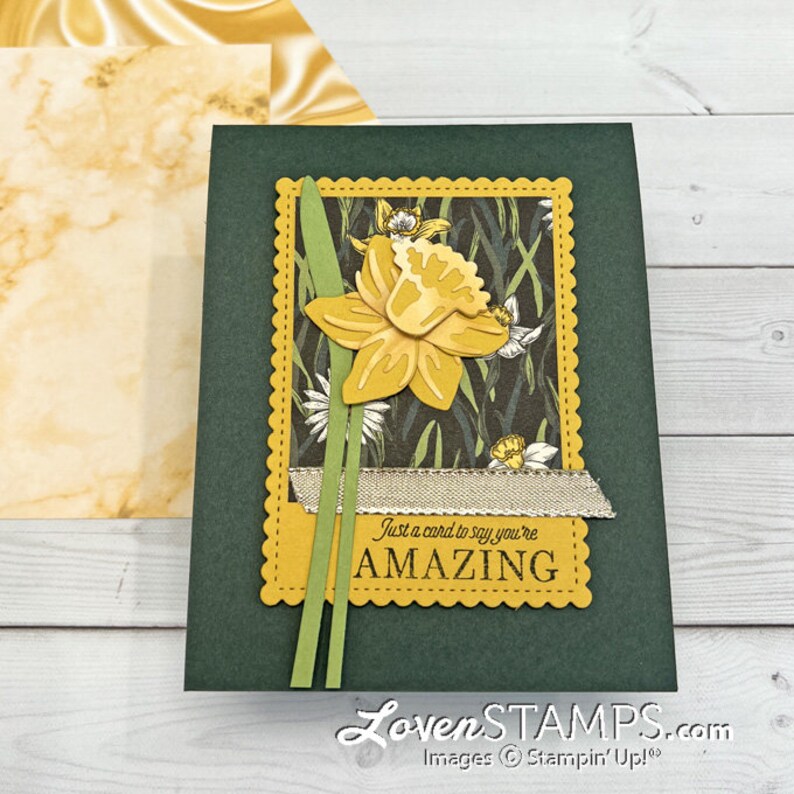 Stampin' Up Daffodil Daydream Card Tutorials PDF ONLY Etsy