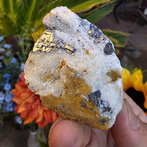 May include: A raw mineral specimen featuring a white quartz matrix with embedded metallic gold-colored pyrite crystals and dark gray galena inclusions. The stone has a rough, uneven texture with patches of orange-brown iron staining on the surface.
