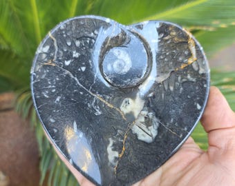 Polished Ammonite and Orthoceras Fossil Heart Shaped Dish 4 Inch Black & White Stone Bowl